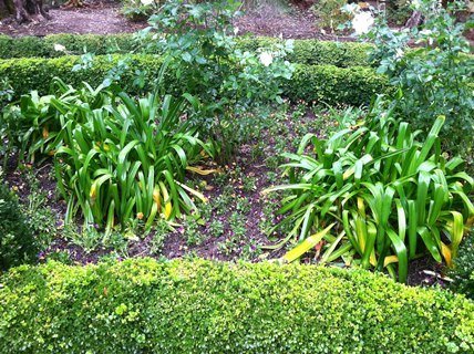 Luxurious Gardens and Walkways to grace your home by Hurtado's Landscaping 7072261779